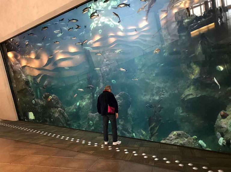 Indoor Oceans: Seattle Aquarium - Tropical Travel Girl