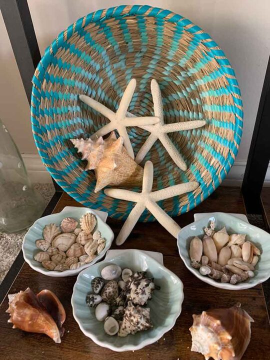 How I display my sand collection and shells - Tropical Travel Girl