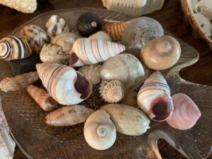 How I display my sand collection and shells - Tropical Travel Girl