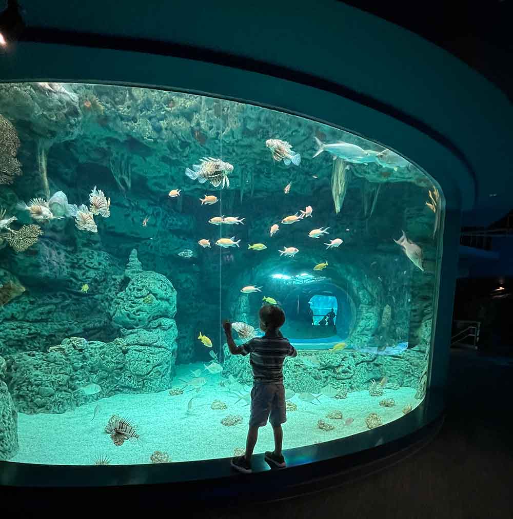 Texas State Aquarium Reviews